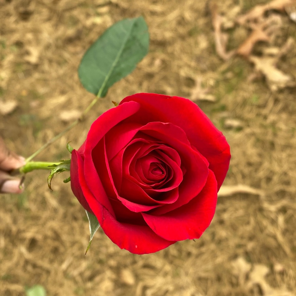 Meet your Posher, Richel